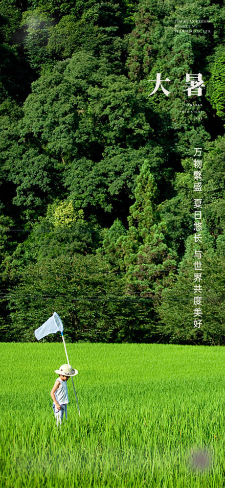 源文件下载【大暑节气海报】编号：10100016193265746