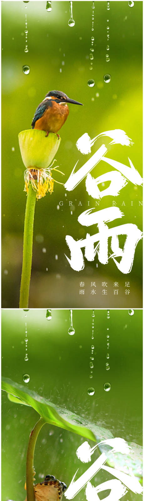 源文件下载【谷雨节气系列海报】编号：95820015878991395
