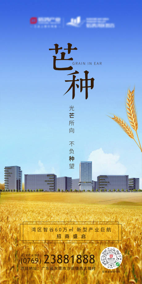 源文件下載【地產芒種海報】編號：63430016350347569