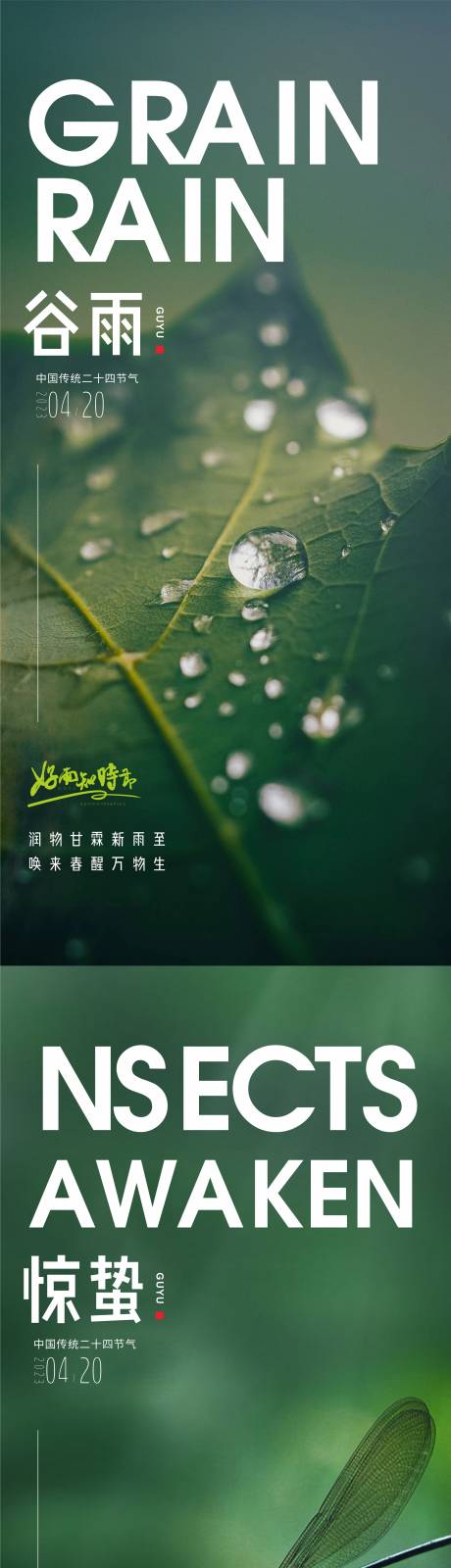 源文件下载【谷雨惊蛰节气系列海报】编号：87770016049311292