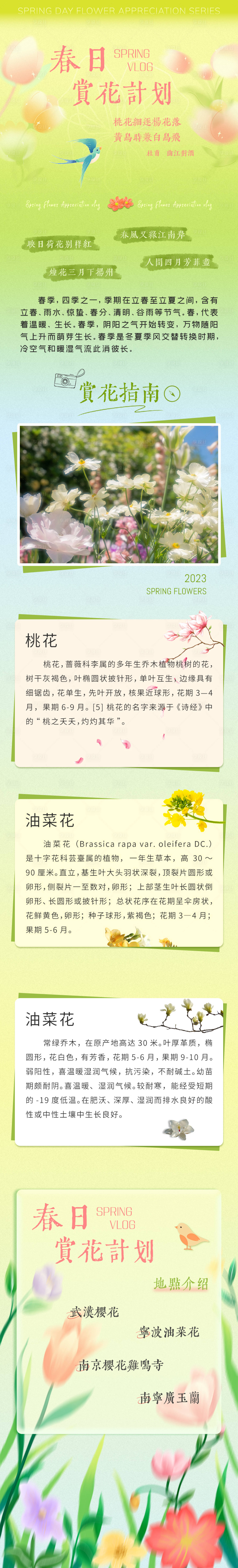 源文件下载【享设计】搜索编号：43530016328338455【春日赏花】