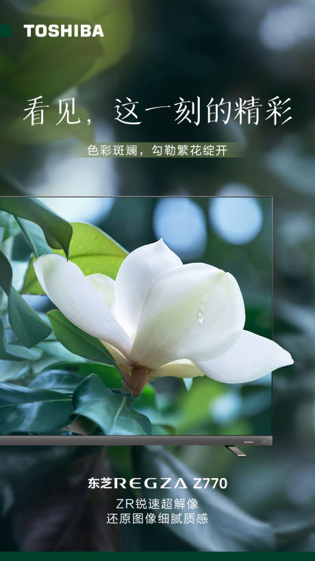源文件下载【家电彩电海报】编号：31480016380562711