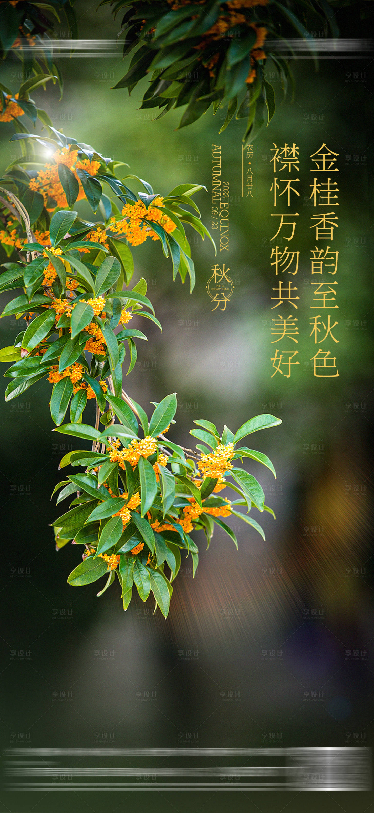 源文件下载【地产秋分节气质感海报】编号：27670016304592518