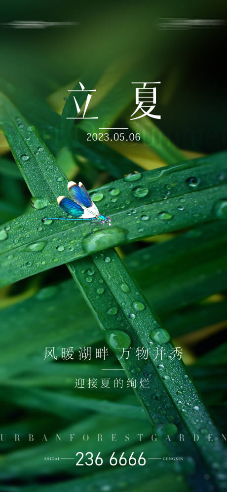 源文件下载【享设计】搜索编号：93680016346912489【立夏海报】