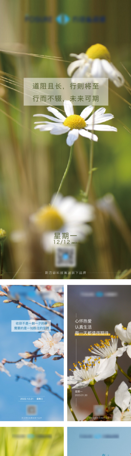 源文件下载【早安春天】编号：97680016034311451