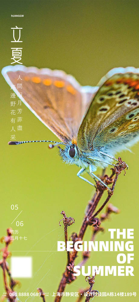 源文件下载【享设计】搜索编号：25610016274722501【立夏节气海报】