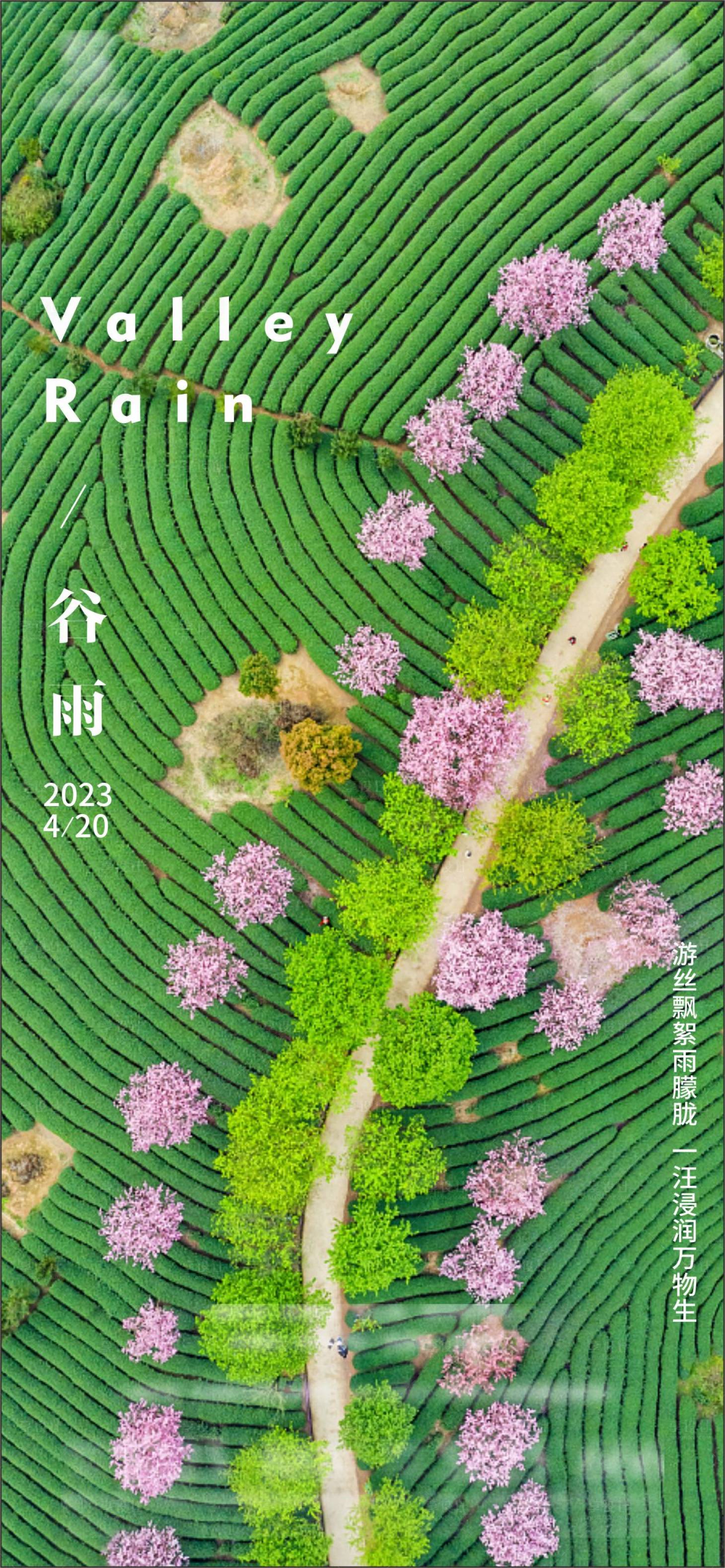 源文件下载【谷雨移动端海报】编号：14210016140342831