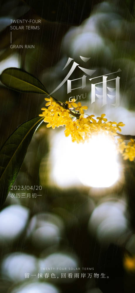 源文件下載【享設計】搜索編號：35150016071193677【谷雨海報】
