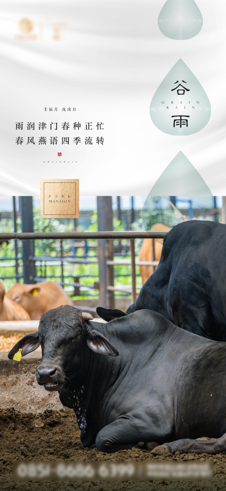 源文件下載【享設計】搜索編號：71170016125818439【谷雨節氣海報】