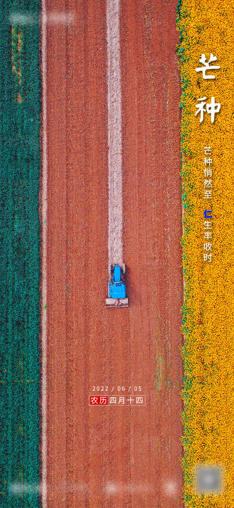 源文件下載【享設計】搜索編號：75400016288741139【芒種節氣海報】