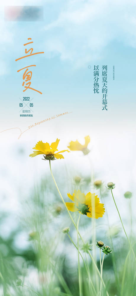 源文件下載【享設計】搜索編號：61940015960859870【地產立夏節氣單圖】