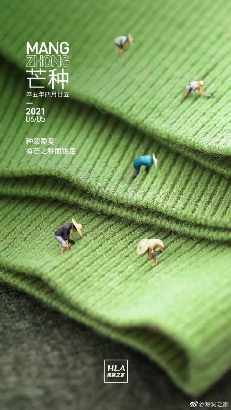 芒种24节气毛衣海报-源文件【享设计】