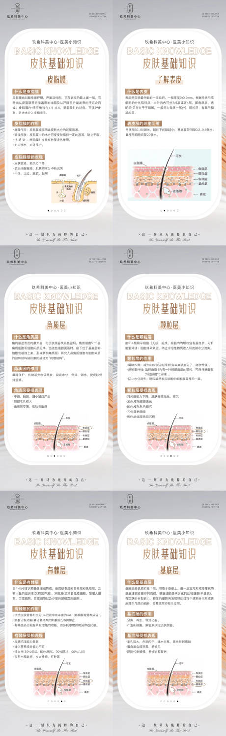 源文件下载【皮肤基础知识海报】编号：70010015920727331