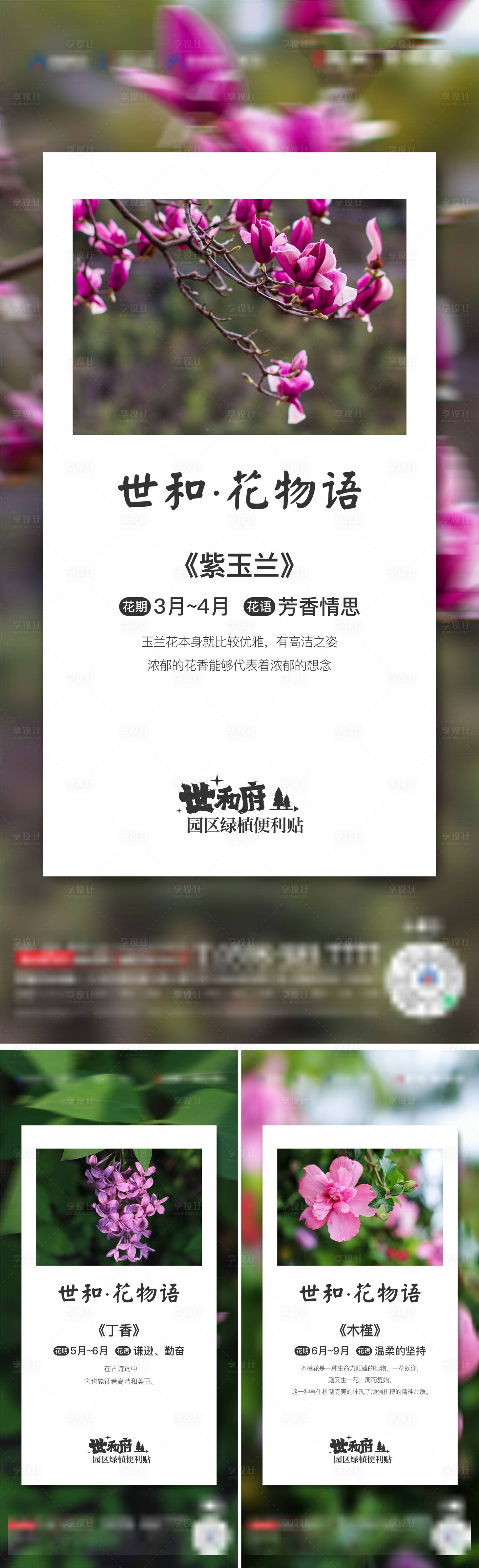源文件下載【享設(shè)計】搜索編號：80800015878239275【地產(chǎn)花物語系列版式】