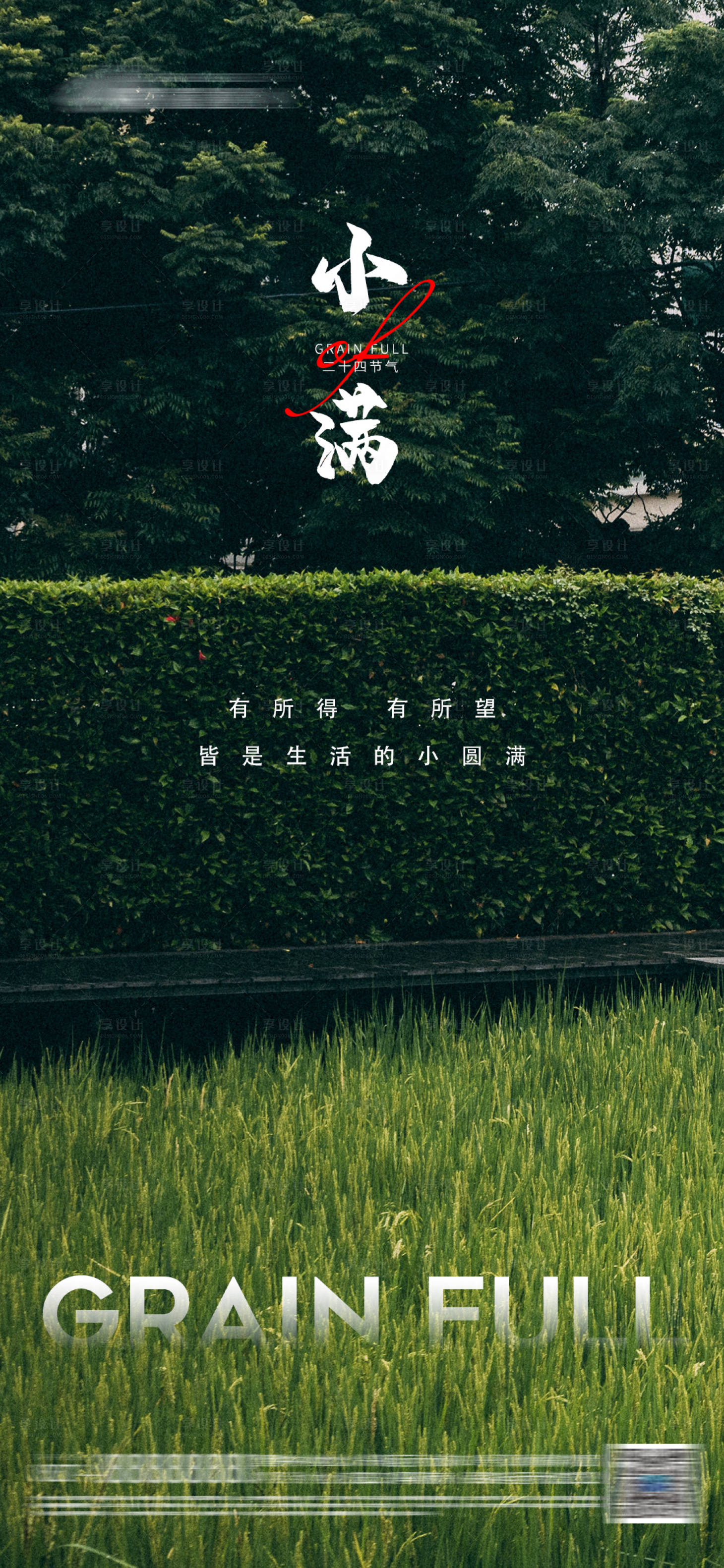 源文件下载【小满节气海报】编号：72270015891669954