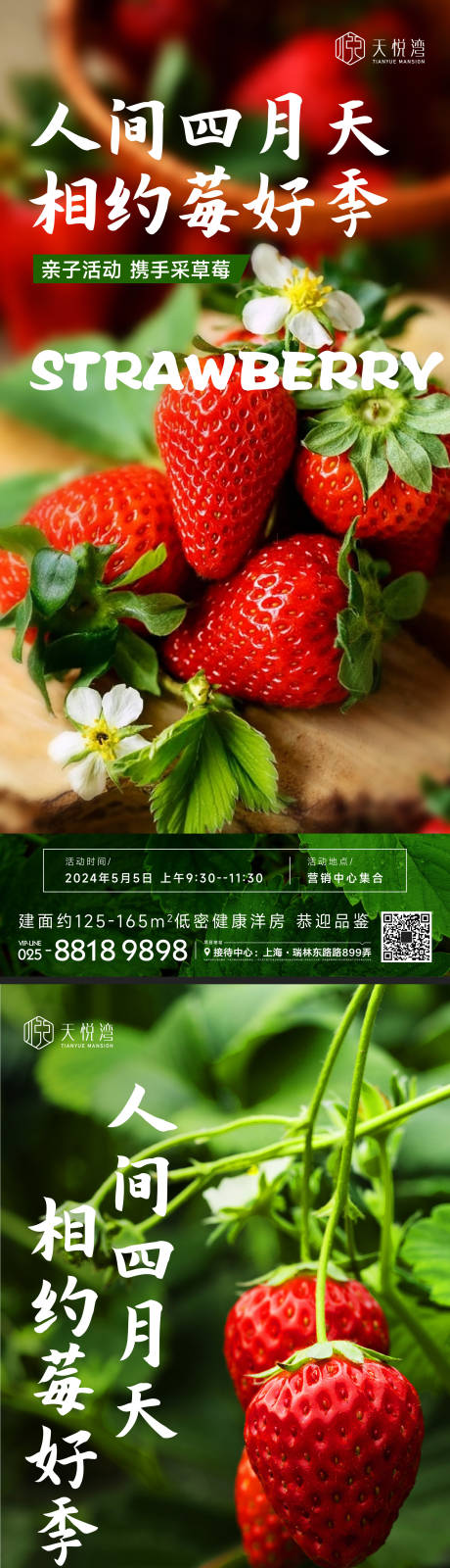 源文件下载【采草莓活动海报】编号：42580016395558474