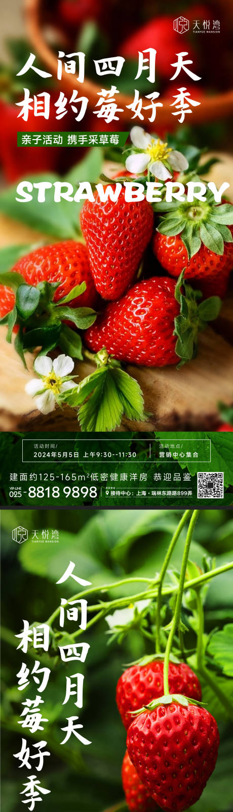 编号：20230429190615978【享设计】源文件下载-采草莓活动海报