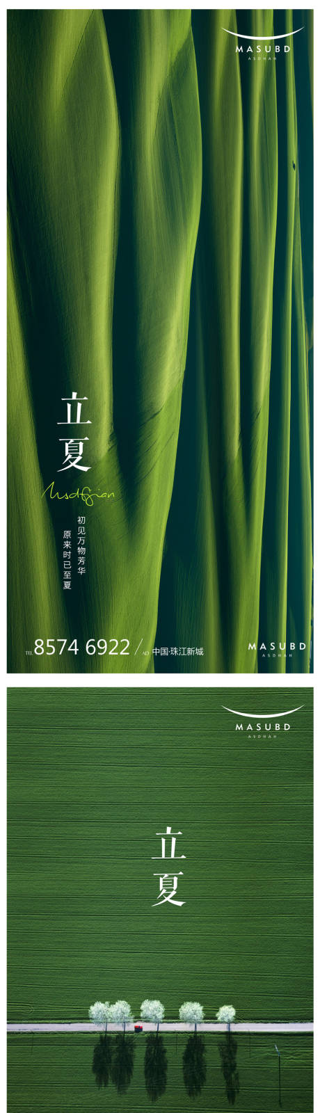 源文件下载【立夏节气海报】编号：85220016399547356