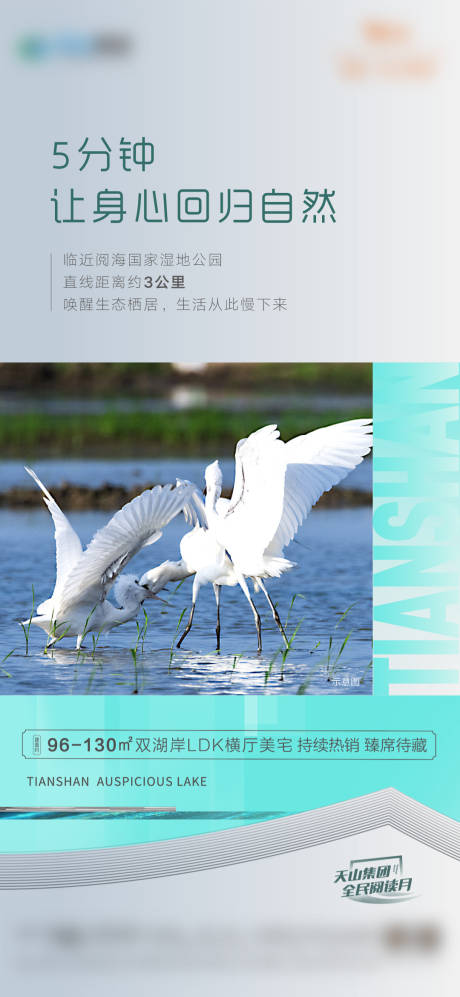 源文件下載【享設(shè)計】搜索編號：62820016023174118【地產(chǎn)濕地公園價值點海報】