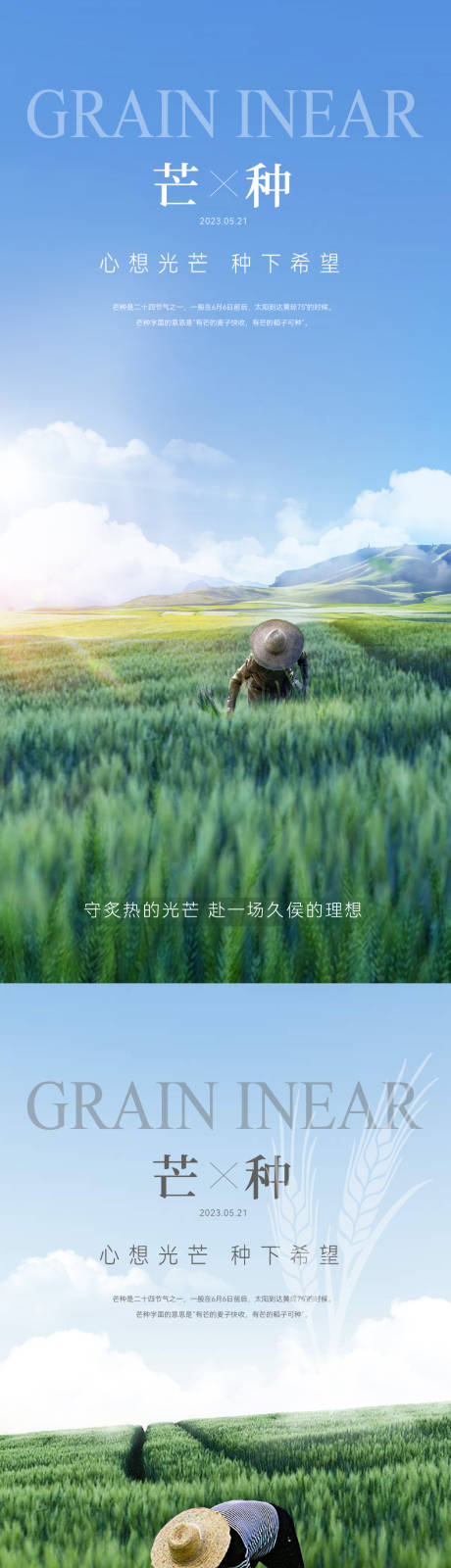 源文件下载【芒种节气海报】编号：36850017042062027