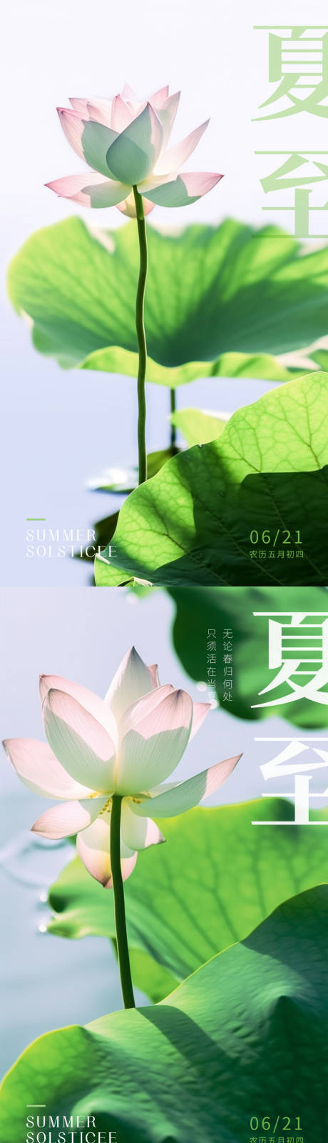 源文件下载【清新夏至节气海报】编号：63120016778401036
