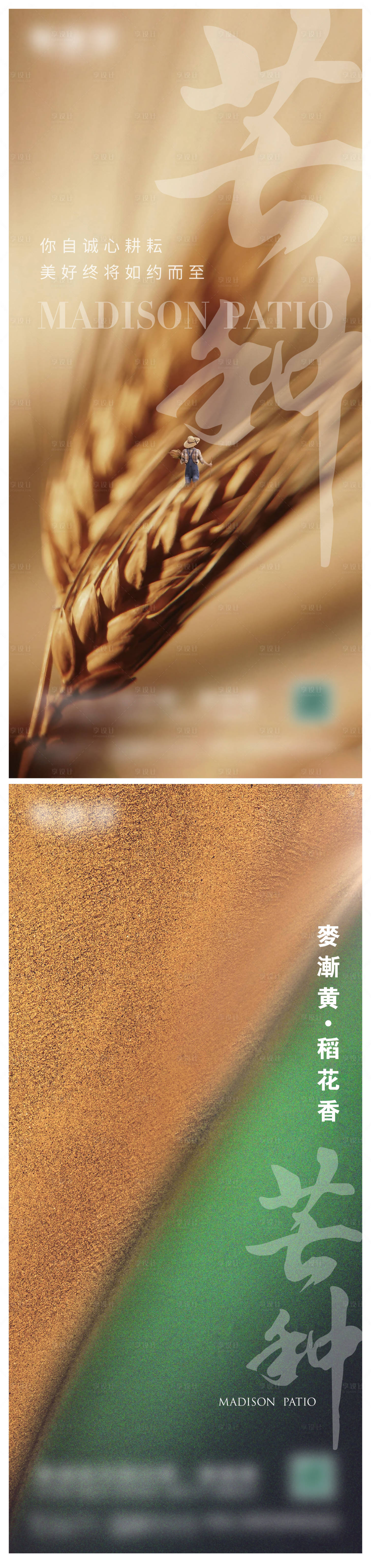 源文件下載【享設(shè)計】搜索編號：76840017070602748【芒種微信海報畫面】