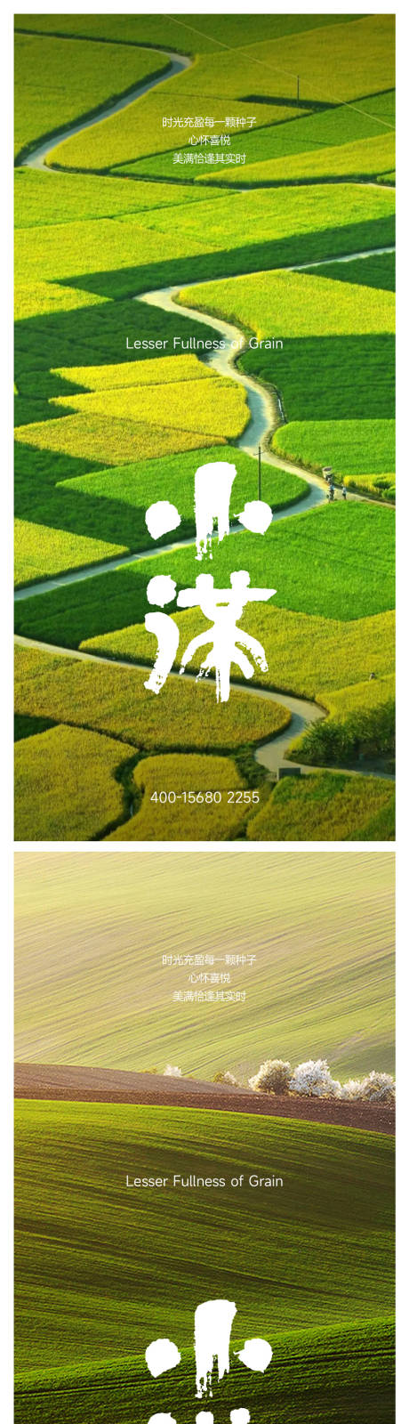 源文件下载【小满海报】编号：42450016721535749