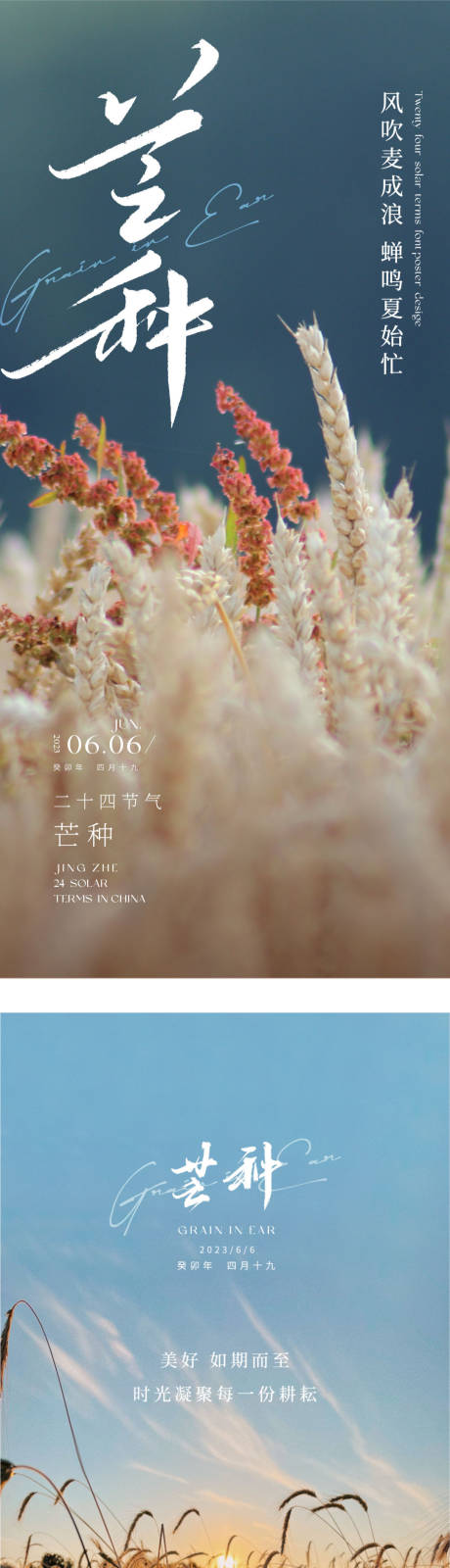 源文件下载【二十四节气芒种】编号：63080016958001424
