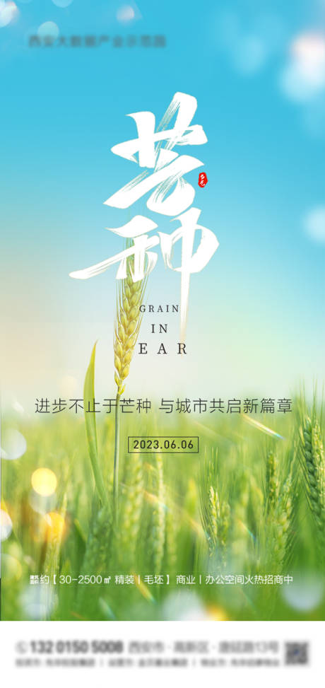 源文件下载【地产芒种海报】编号：28460016959596849