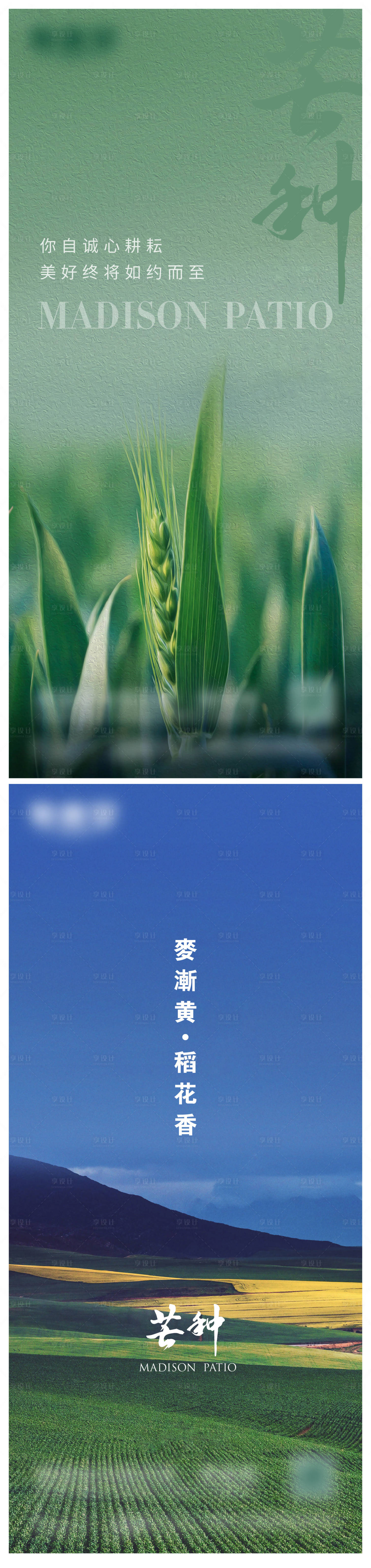 源文件下載【芒種海報】編號：33760017059089780