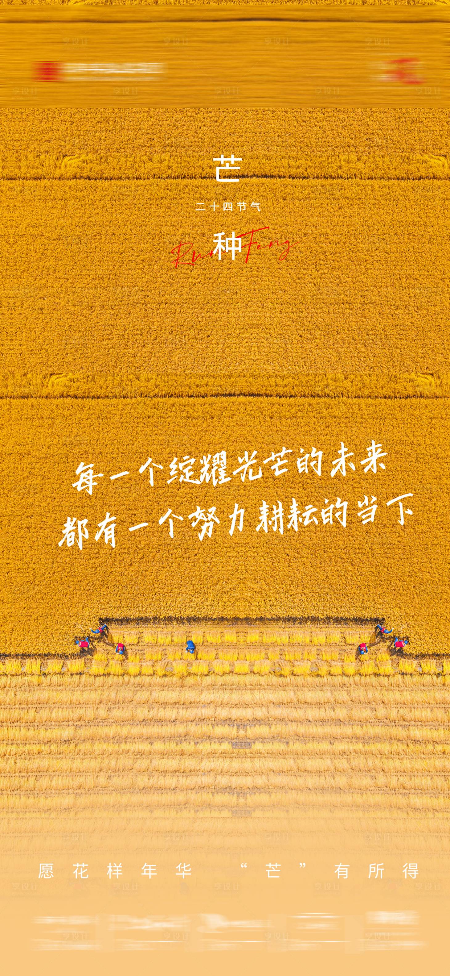 源文件下載【芒種節氣海報】編號：98410016963178884