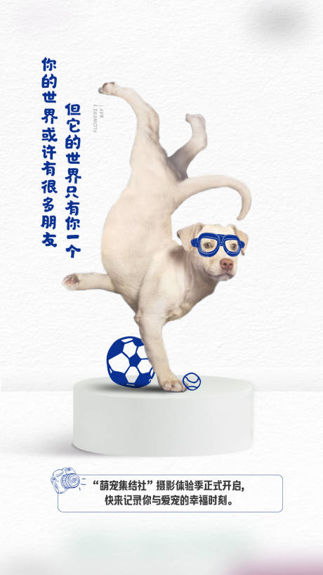 源文件下載【享設計】搜索編號：81530017069281905【房地產(chǎn)趣味活動寵物海報微信刷屏單圖稿】