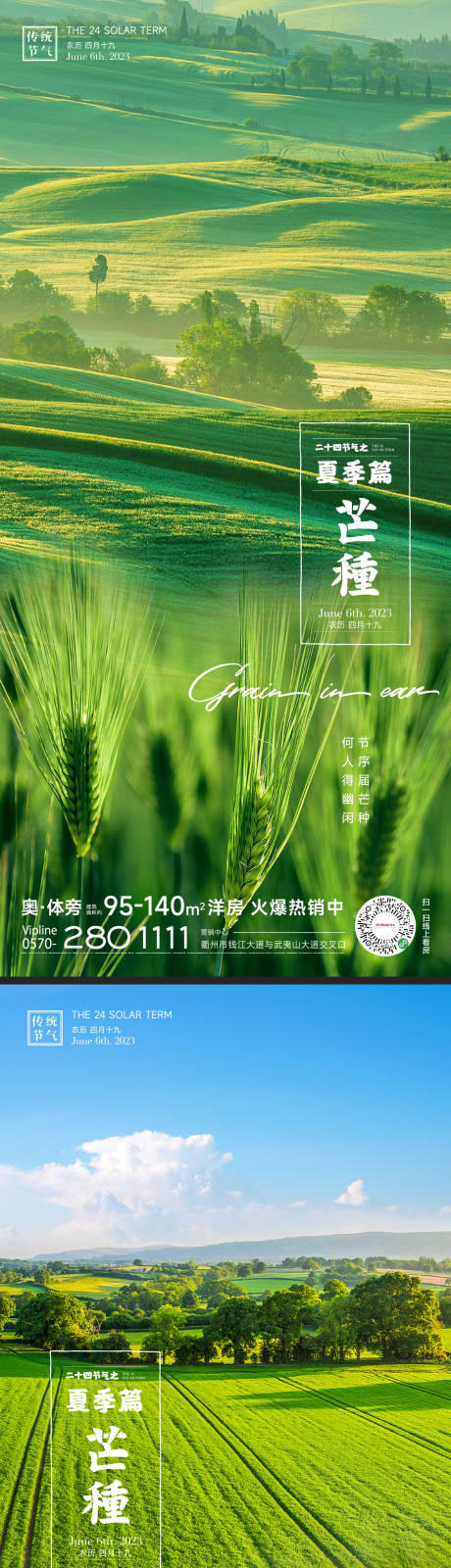 源文件下载【享设计】搜索编号：27470016849951443【芒种节气海报】