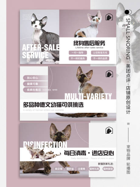 源文件下载【宠物猫轮播图banner】编号：20230524104305827