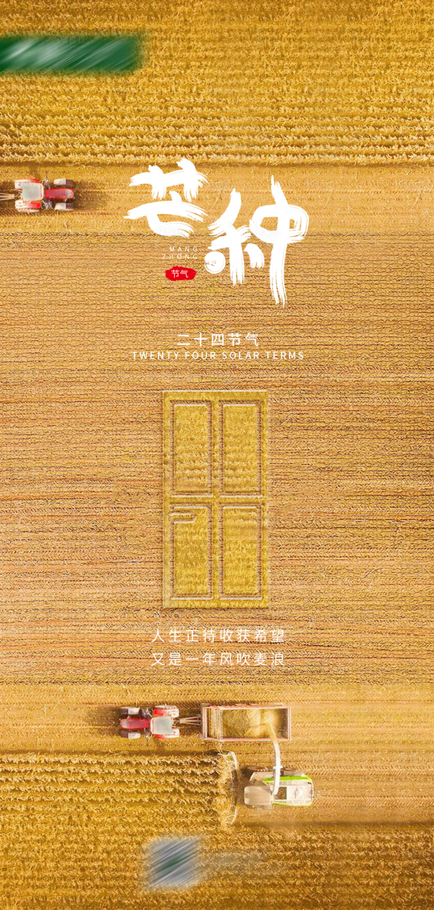 源文件下载【芒种节气海报】编号：24920016939817247