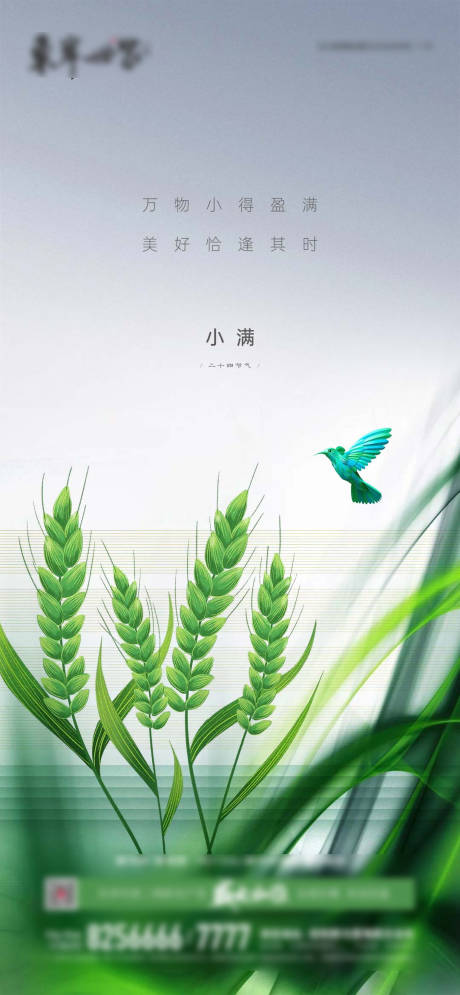 源文件下载【地产小满节气海报】编号：60200016730719237
