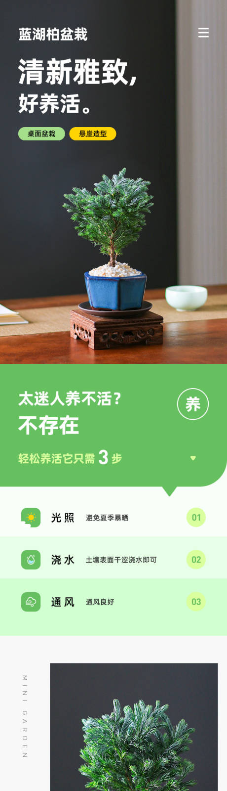 源文件下载【植物绿植盆栽电商淘宝详情设计】编号：51270016986722040