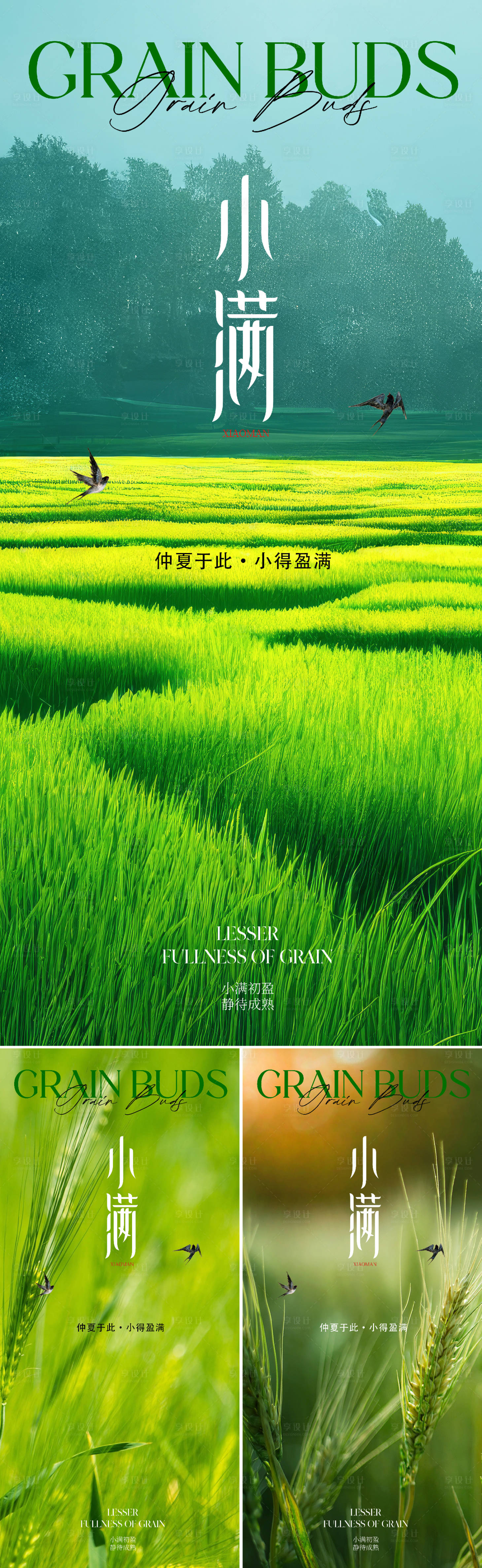 源文件下載【享設計】搜索編號：35770016573348407【小滿節氣系列海報】