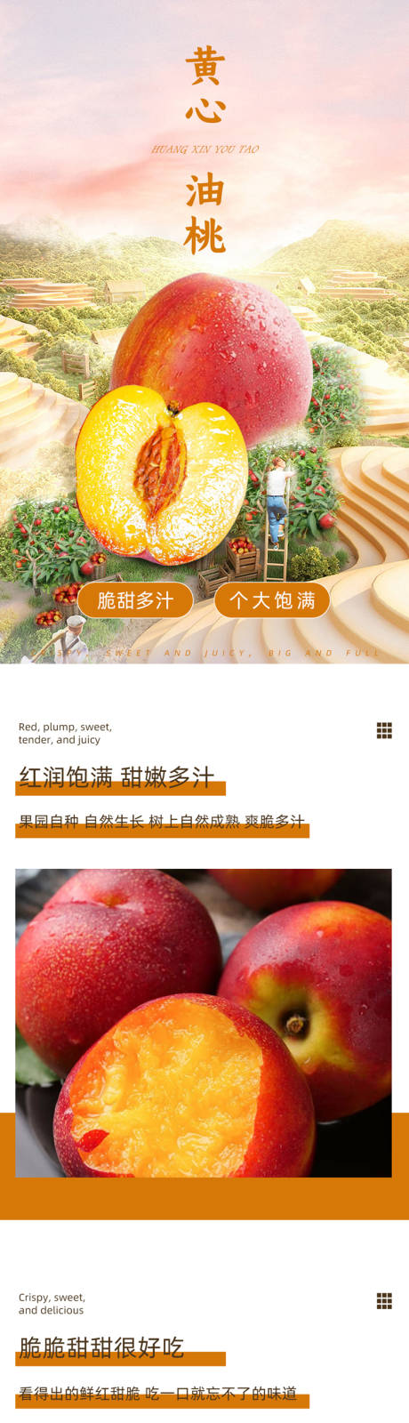 源文件下载【黄心油桃长图海报】编号：62580016871424662