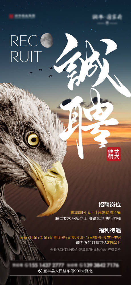 源文件下载【创意招聘海报】编号：44420016661488470