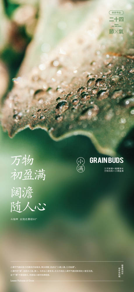 源文件下载【小满海报】编号：23930016705983600