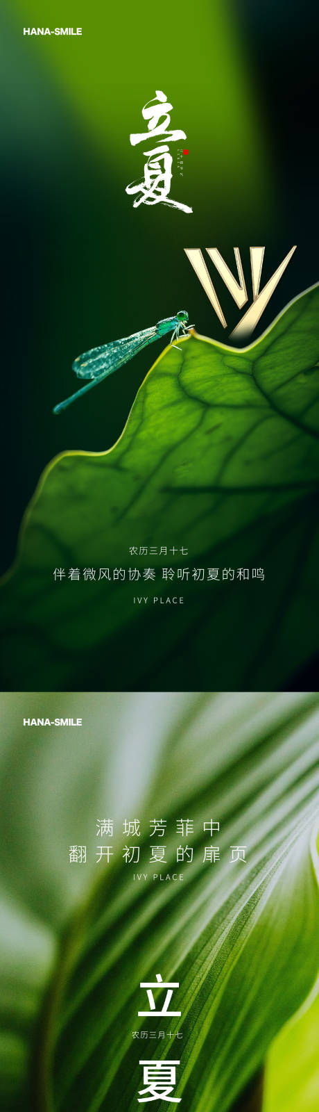 源文件下载【立夏海报】编号：32480016486035126