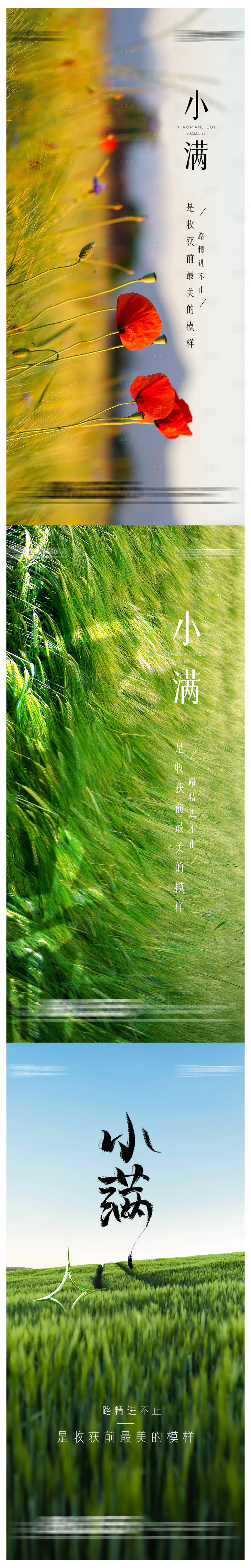 源文件下载【小满系列海报】编号：30290016599821841