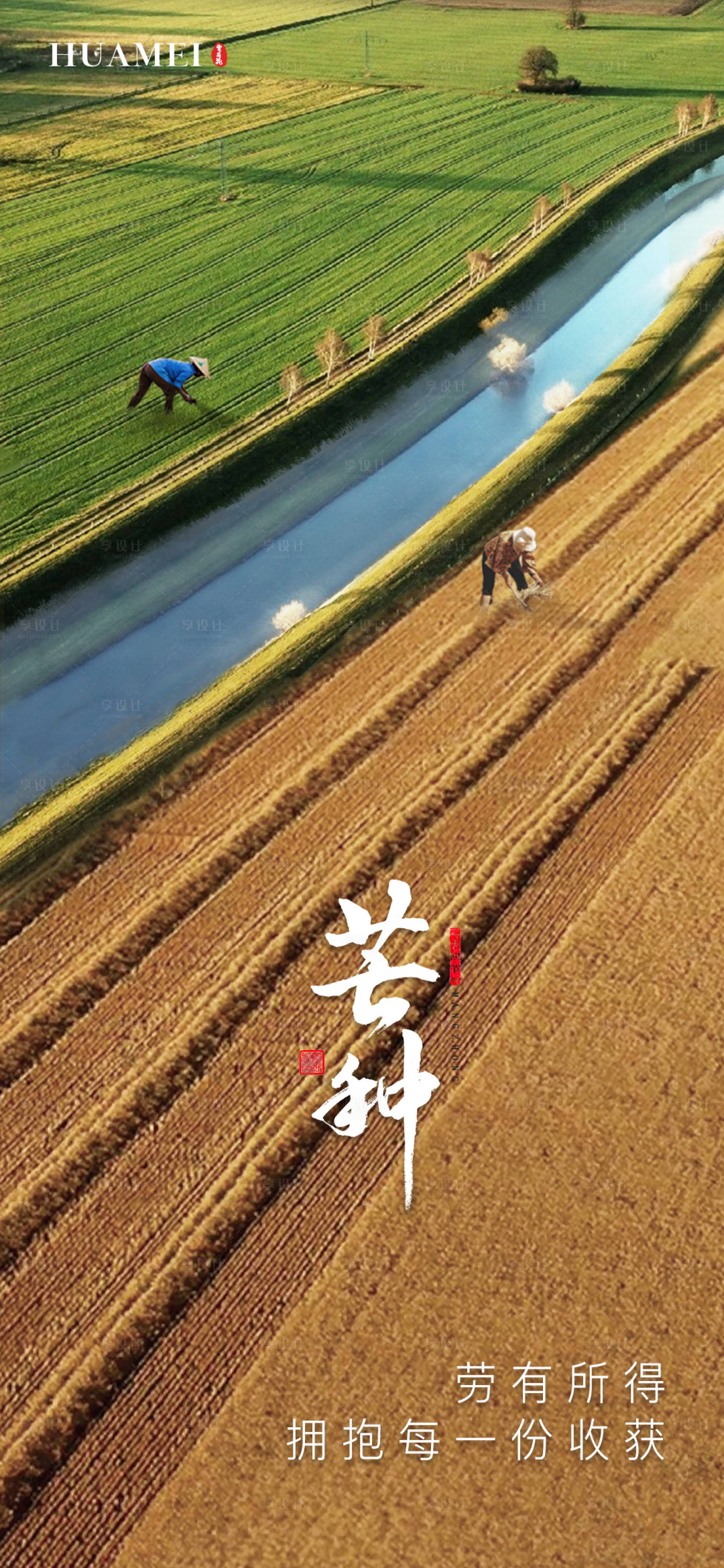 源文件下载【芒种海报】编号：74160017002009457
