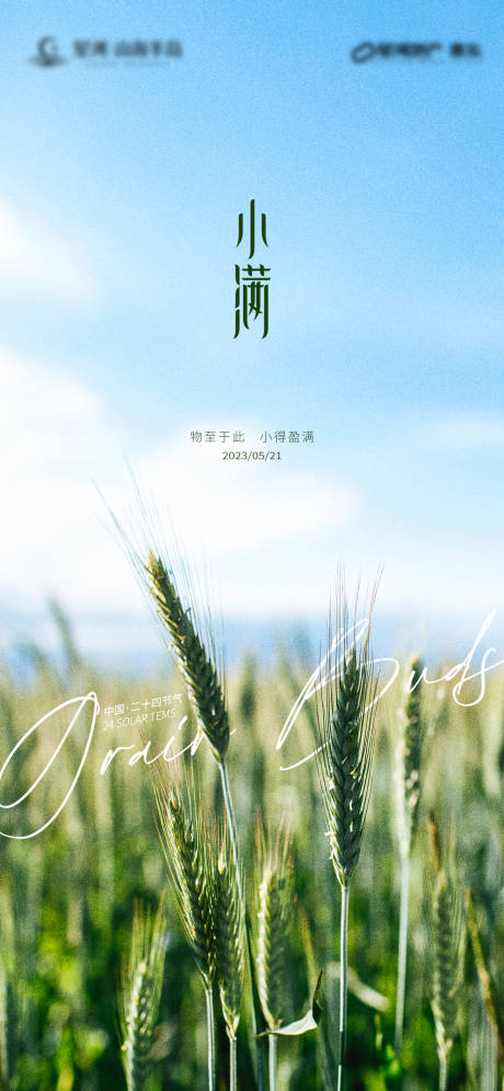 源文件下载【小满节气刷屏稿】编号：78320016706057910