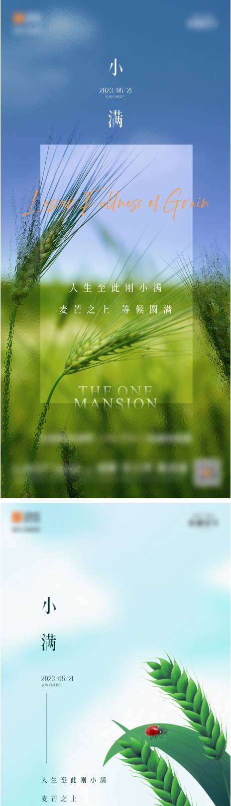 源文件下载【小满节气稿】编号：10750016798288642