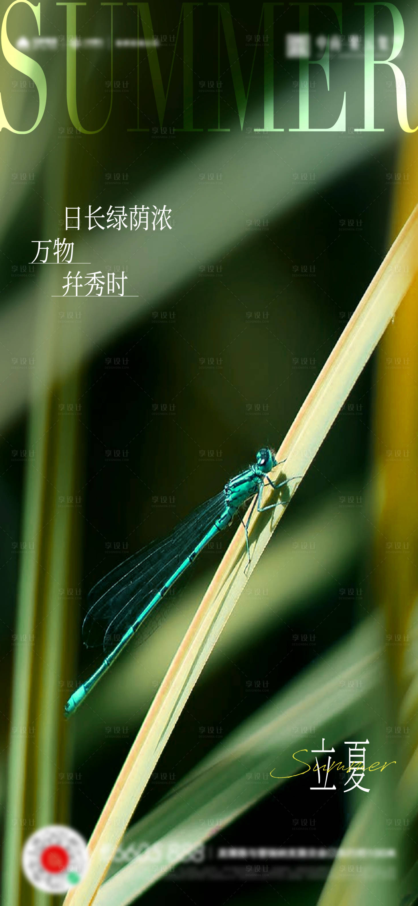 源文件下载【立夏节气海报】编号：38280016439474706