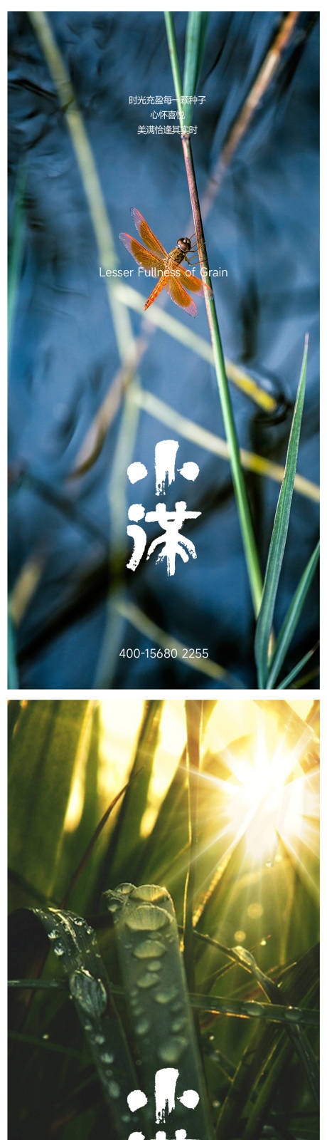 源文件下载【小满海报】编号：62650016759227815