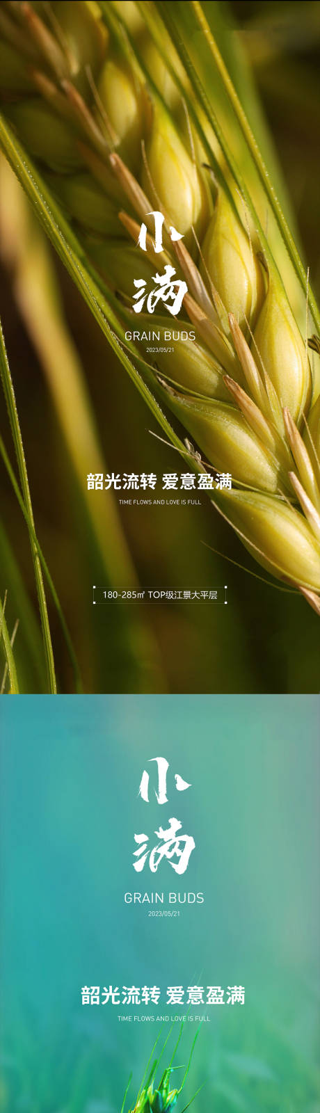 源文件下载【小满节气系列海报】编号：47300016707966904