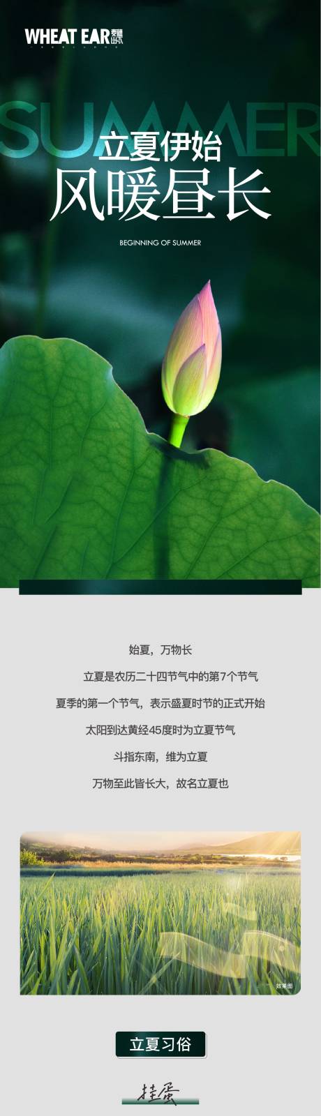源文件下载【立夏长图】编号：35470016456163013